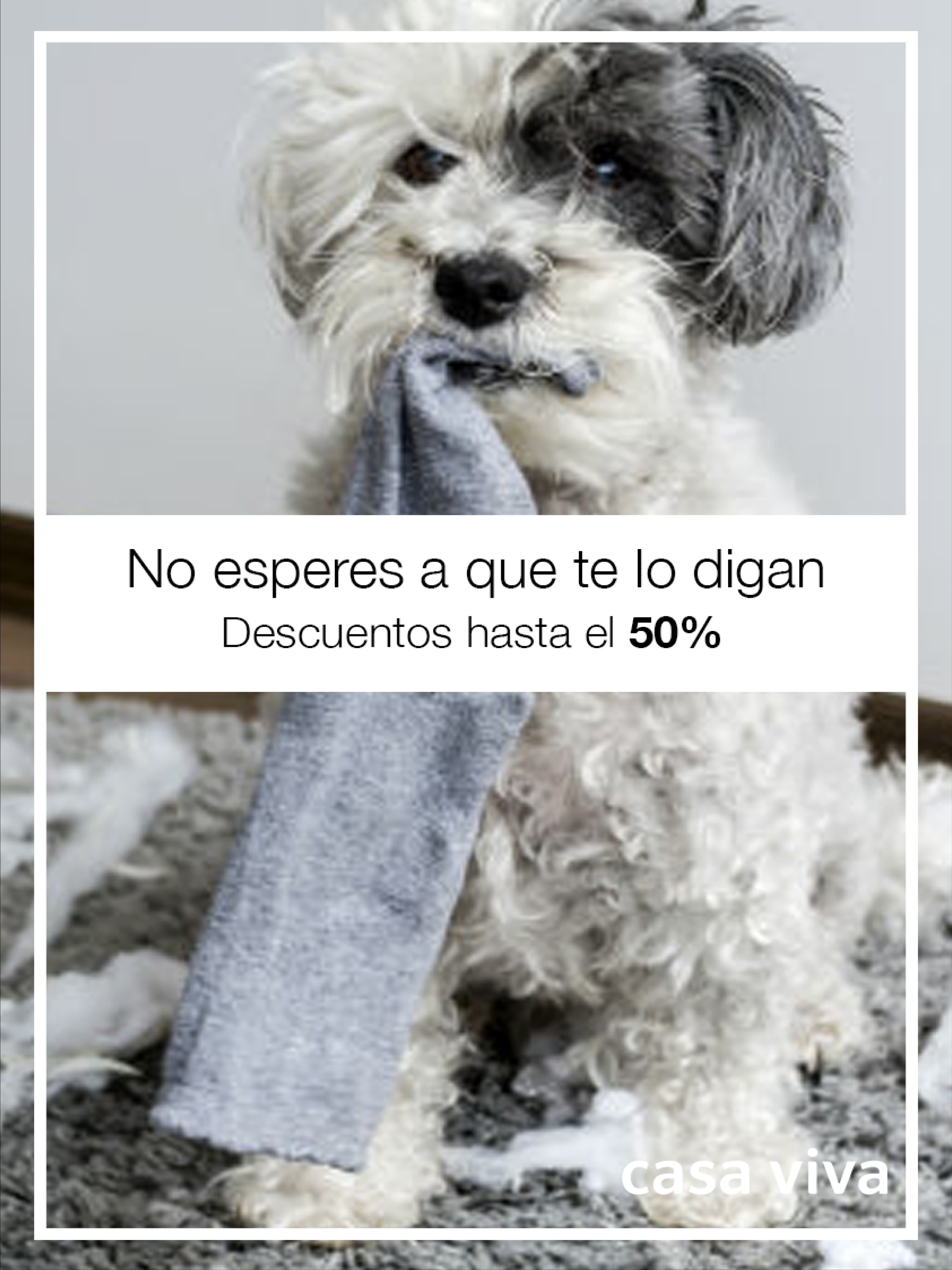 Campaña rebajas - Casa Viva